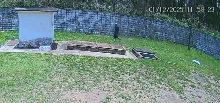 FURTOS DE FIOS E CABOS GERAM PREJUÍZOS AO SAAE